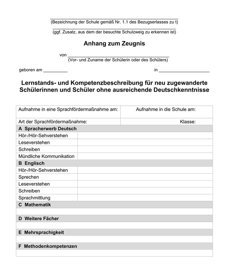 Lernstands- und Kompetenzbeschreibung